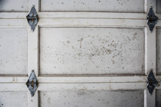 Black Mold and Mildew Infestation Indoors