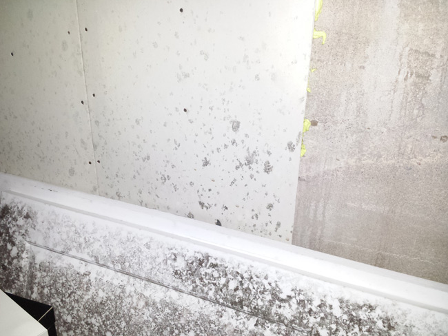 A bathroom showing extensive black mold growth along the white baseboards and lower walls, with visible water damage and staining on the surfaces.