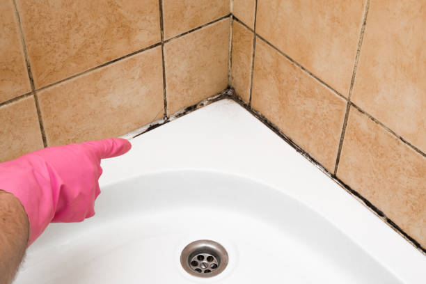 Hand in rubber protective glove pointing to the mold in the shower cabin corner. Problems and solutions concept.