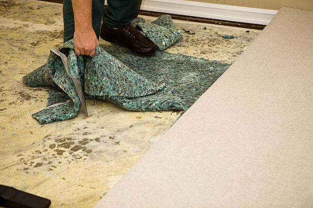 A person is removing severely mold-damaged carpet padding that has turned green and black from extensive fungal growth, revealing contaminated subflooring underneath.