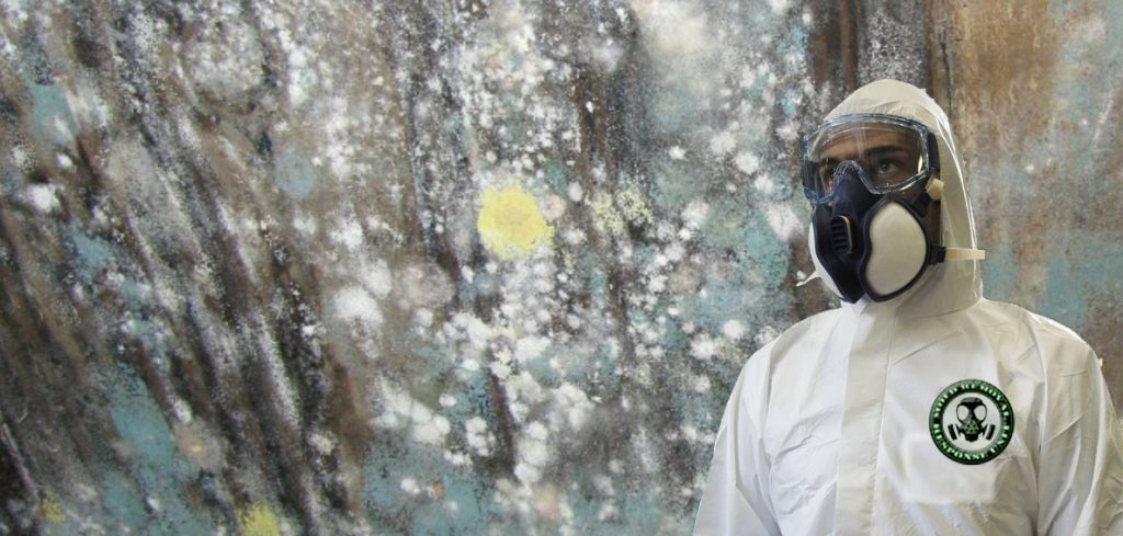 A person wearing a white hazmat suit with hood, protective goggles, and a respirator mask stands in front of a heavily mold-covered wall showing extensive fungal growth in various colors including white, green, and yellow patches.