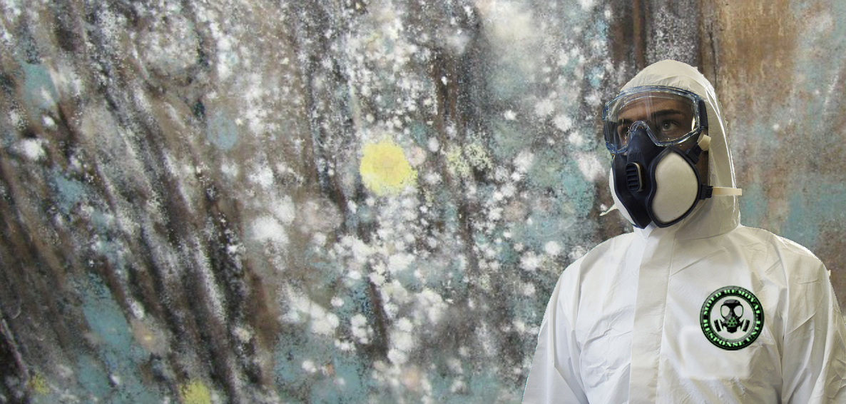 #1 Mold Removal & Water Damage Restoration San Antonio TX